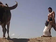 Fille Active dans les filets de pêche et la marche dans un putain de debout comme un francais porno streaming fou